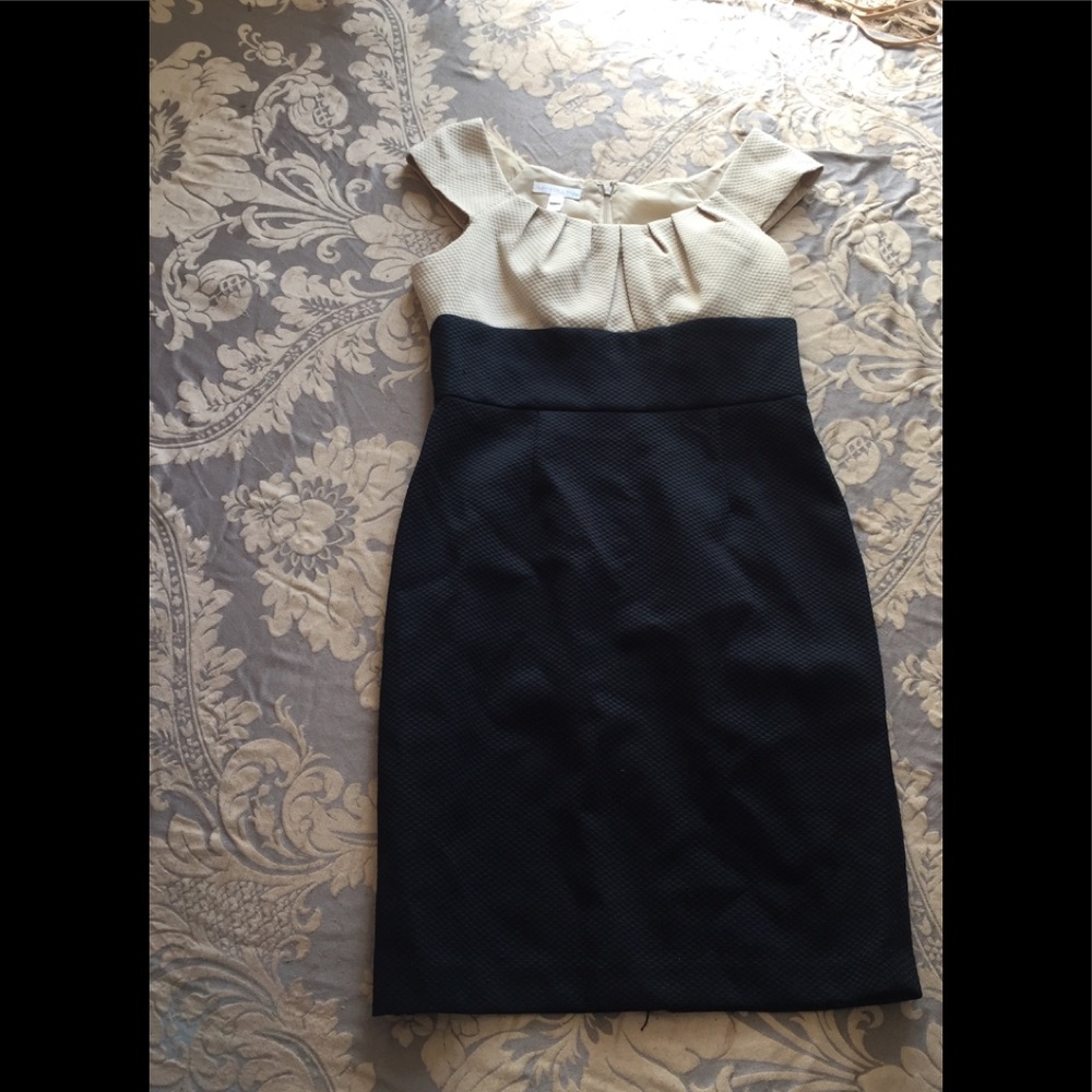 LondonTimes Dress black and cream dress size 10